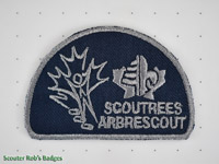 Click to enlarge 2000 Scoutrees